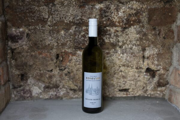Müller Thurgau 2024