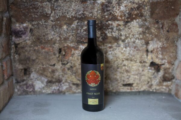 Pinot Noir 2023 - Barrique